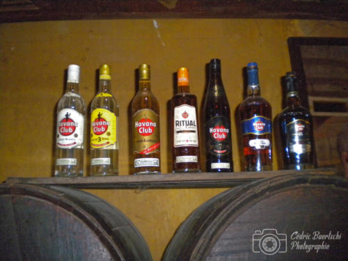 Cuba2015  0075 web