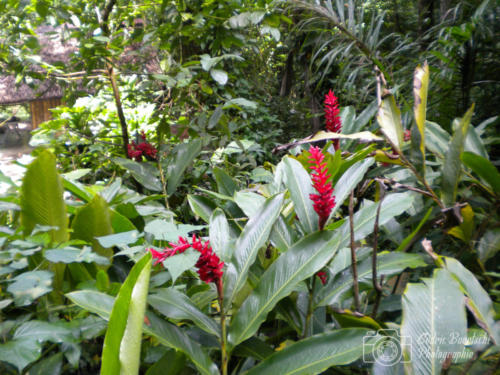 Cuba2015  0160 web