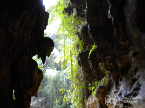 Cuba2015  0173 web