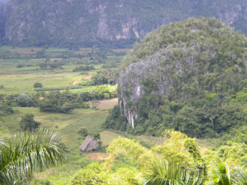 Cuba2015  0188 web