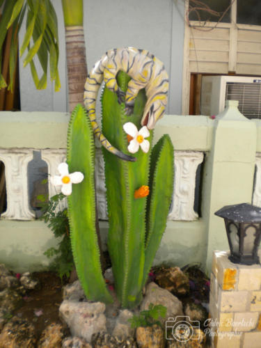Cuba2015  0246 web