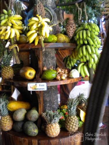Cuba2015  0248 web