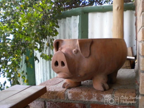 Cuba2015  0257 web