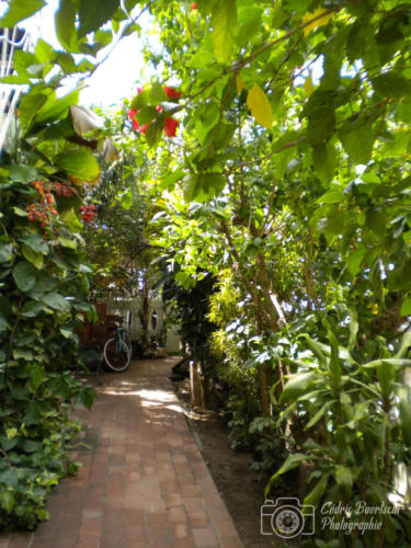Cuba2015  0263 web