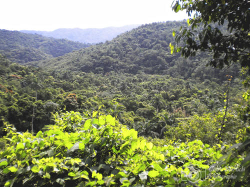 Cuba2015  0292 web