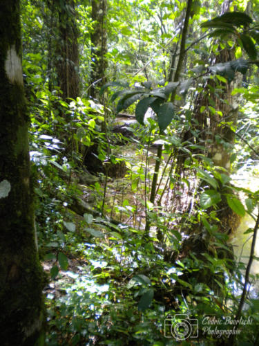 Cuba2015  0303 web