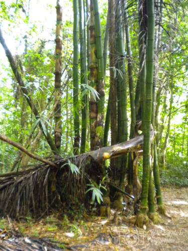 Cuba2015  0304 web
