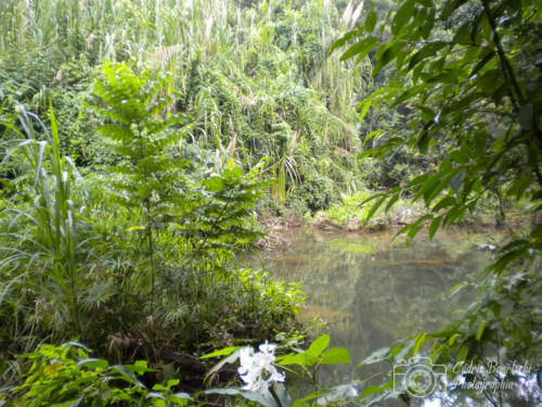 Cuba2015  0327 web