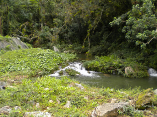 Cuba2015  0342 web