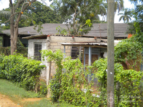 Cuba2015  0565 web