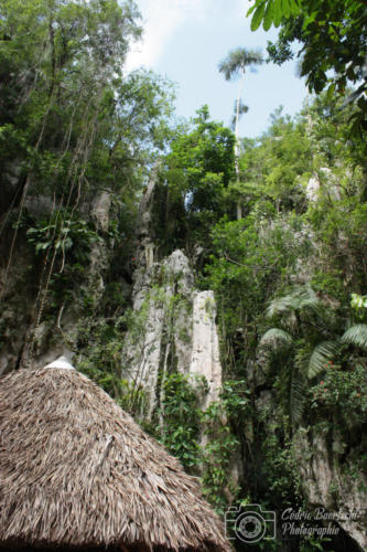 Cuba2015  0732 web