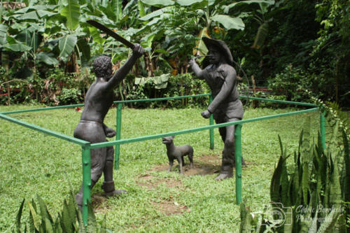 Cuba2015  0778 web