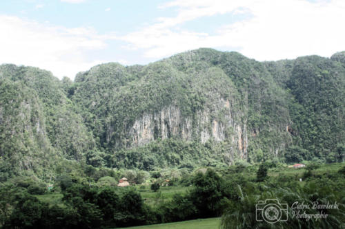 Cuba2015  0809 web