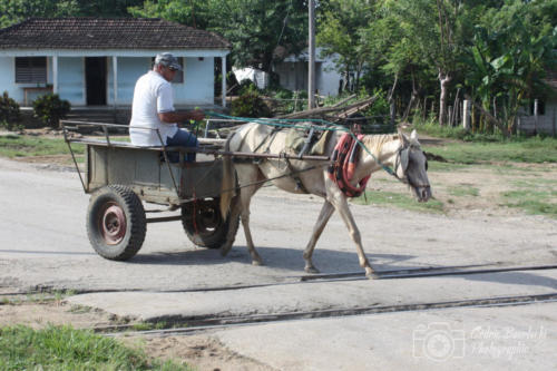 Cuba2015  0935 web