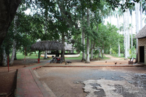 Cuba2015  1023 web