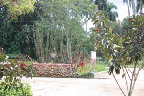 Cuba2015  1029 web