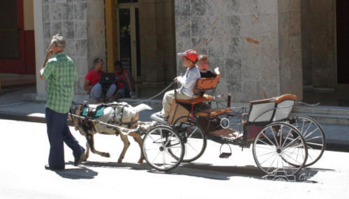 Cuba2015  1070 web
