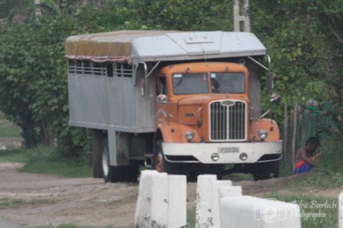 Cuba2015  1190 web