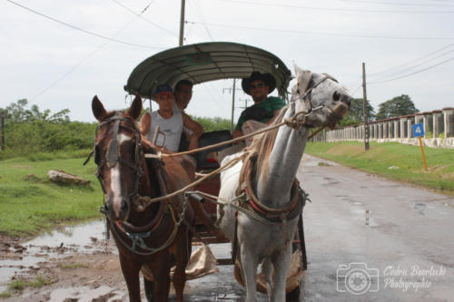 Cuba2015  1381 web
