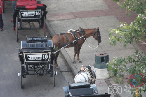 Cuba2015  1412 web