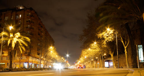 DSC08324