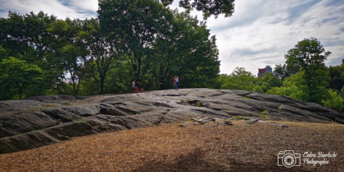 USA 20180622 NYC 000 web