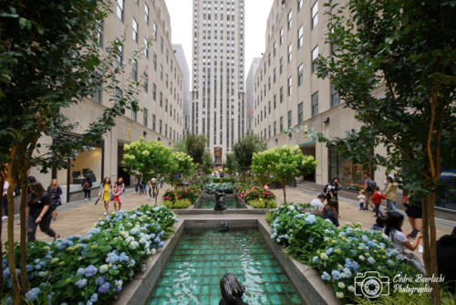 USA 20180623 NYC 018