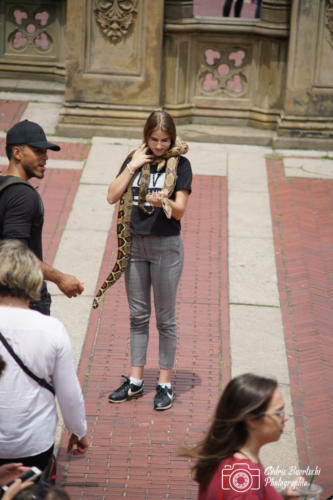 USA 20180624 NYC 038