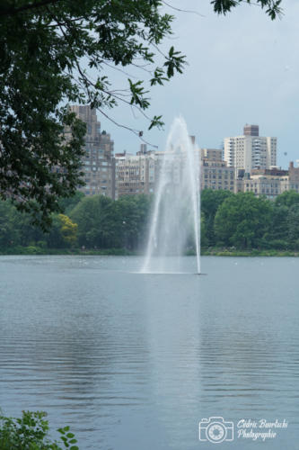 USA 20180624 NYC 047